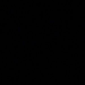 Meet your Posher, Logan